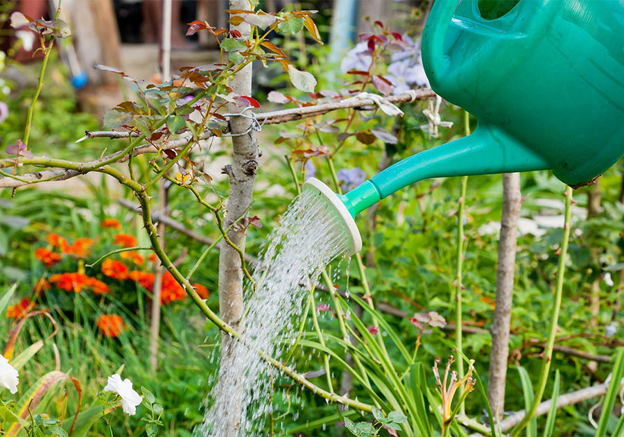 Start here — we’ll guide you from seed to harvest