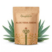 Aloe Vera Seeds – Aloe barbadensis miller