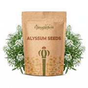 Alyssum Seeds – Lobularia maritima