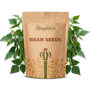 Bean Seeds – Phaseolus vulgaris