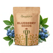 Blueberry Seeds – Vaccinium corymbosum