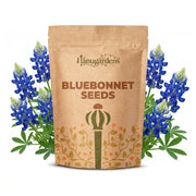 Bluebonnet Seeds – Lupinus texensis