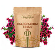 Calibrachoa Seeds – Calibrachoa × hybrida