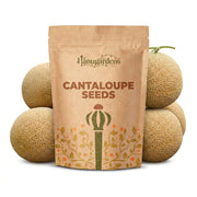 Cantaloupe Seeds – Cucumis melo