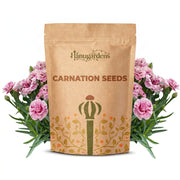 Carnation Seeds – Dianthus caryophyllus