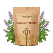 Catmint Seeds – Nepeta spp.