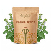 Catnip Seeds – Nepeta cataria