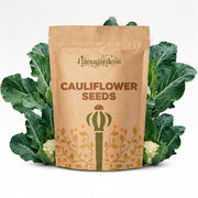 Cauliflower Seeds – Brassica oleracea var. botrytis