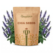 Chia Seeds – Salvia hispanica