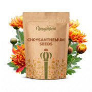 Chrysanthemum Seeds – Chrysanthemum × morifolium