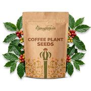 Coffee Plant Seeds – Coffea arabica
