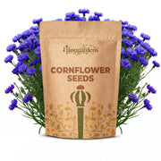 Cornflower Seeds – Centaurea cyanus