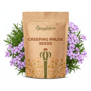 Creeping Phlox Seeds – Phlox subulata