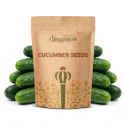 Cucumber Seeds – Cucumis sativus