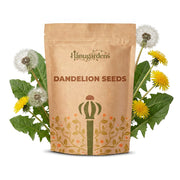 Dandelion Seeds – Taraxacum officinale