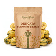 Delicata Squash Seeds – Cucurbita pepo