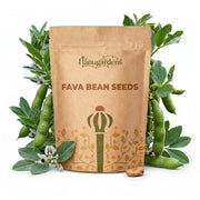 Fava Bean Seeds – Vicia faba