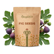 Fig Seeds – Ficus carica
