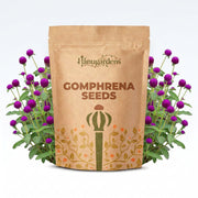Gomphrena Seeds – Gomphrena globosa