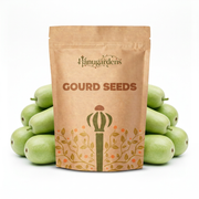Gourd Seeds – Cucurbita spp.