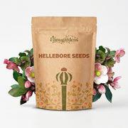 Hellebore Seeds – Helleborus spp.