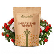 Impatiens Seeds – Impatiens walleriana