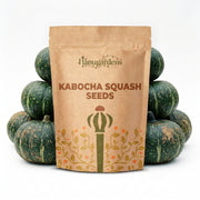 Kabocha Squash Seeds – Cucurbita maxima