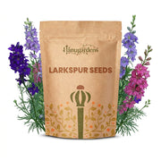 Larkspur Seeds – Consolida ajacis