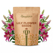 Lily Flower Seeds – Lilium spp.