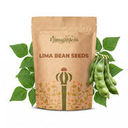 Lima Bean Seeds – Phaseolus lunatus