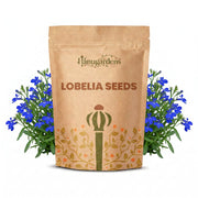 Lobelia Seeds – Lobelia erinus