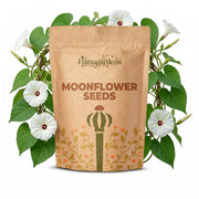 Moonflower Seeds – Ipomoea alba
