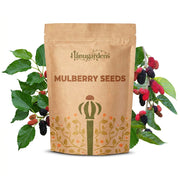 Mulberry Seeds – Morus alba