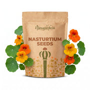 Nasturtium Seeds – Tropaeolum majus