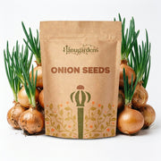 Onion Seeds – Allium cepa