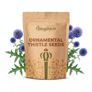 Ornamental Thistle Seeds – Echinops ritro