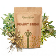 Peanut Seeds – Arachis hypogaea