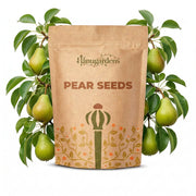 Pear Seeds – Pyrus communis