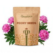 Peony Seeds – Paeonia lactiflora