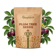Plum Tree Seeds – Prunus domestica