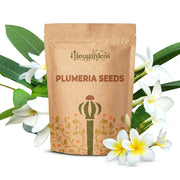 Plumeria Seeds – Plumeria rubra