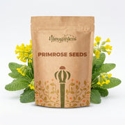 Primrose Seeds – Primula vulgaris