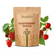 Raspberry Seeds – Rubus idaeus