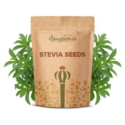 Stevia Seeds – Stevia rebaudiana