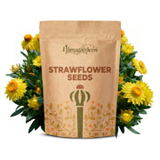 Strawflower Seeds – Xerochrysum bracteatum