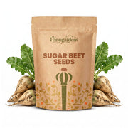 Sugar Beet Seeds – Beta vulgaris