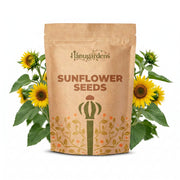 Sunflower Seeds – Helianthus annuus