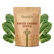Swiss Chard Seeds – Beta vulgaris subsp. vulgaris