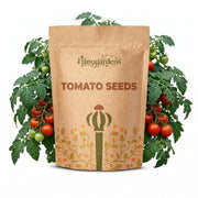 Tomato Seeds – Solanum lycopersicum