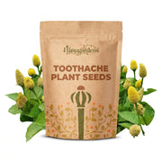 Toothache Plant Seeds – Acmella oleracea